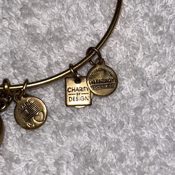 Alex and Ani gold metals adjustable bangle with I am Strong charm - Picture 3 of 3